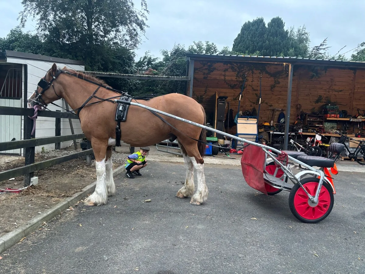 Ben Hur Cart and Solid Cart - Image 1