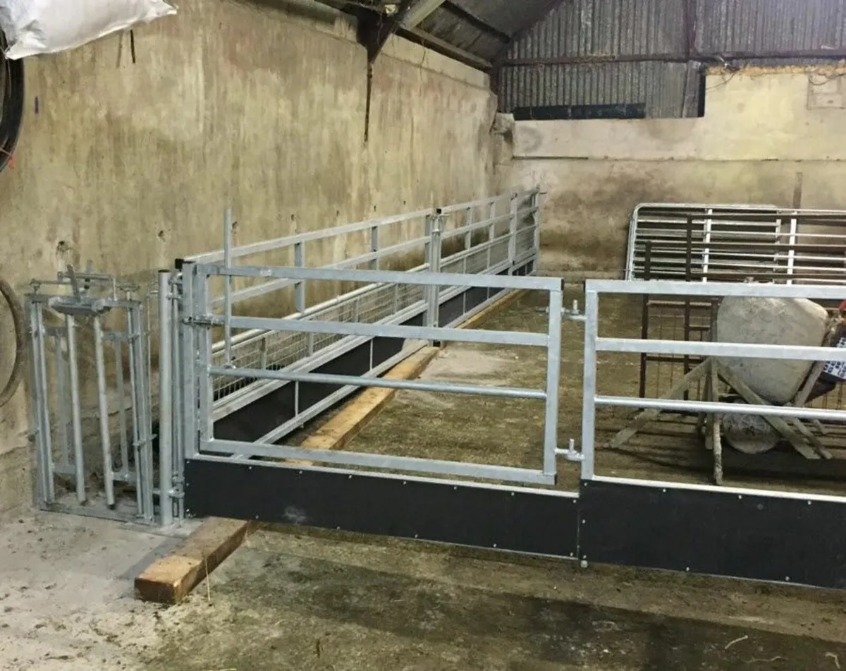 Feeding barriers - Image 3