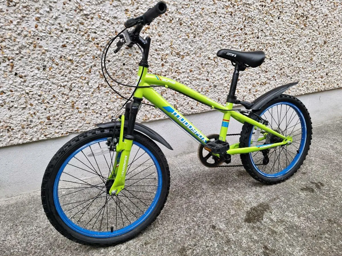 20" bike