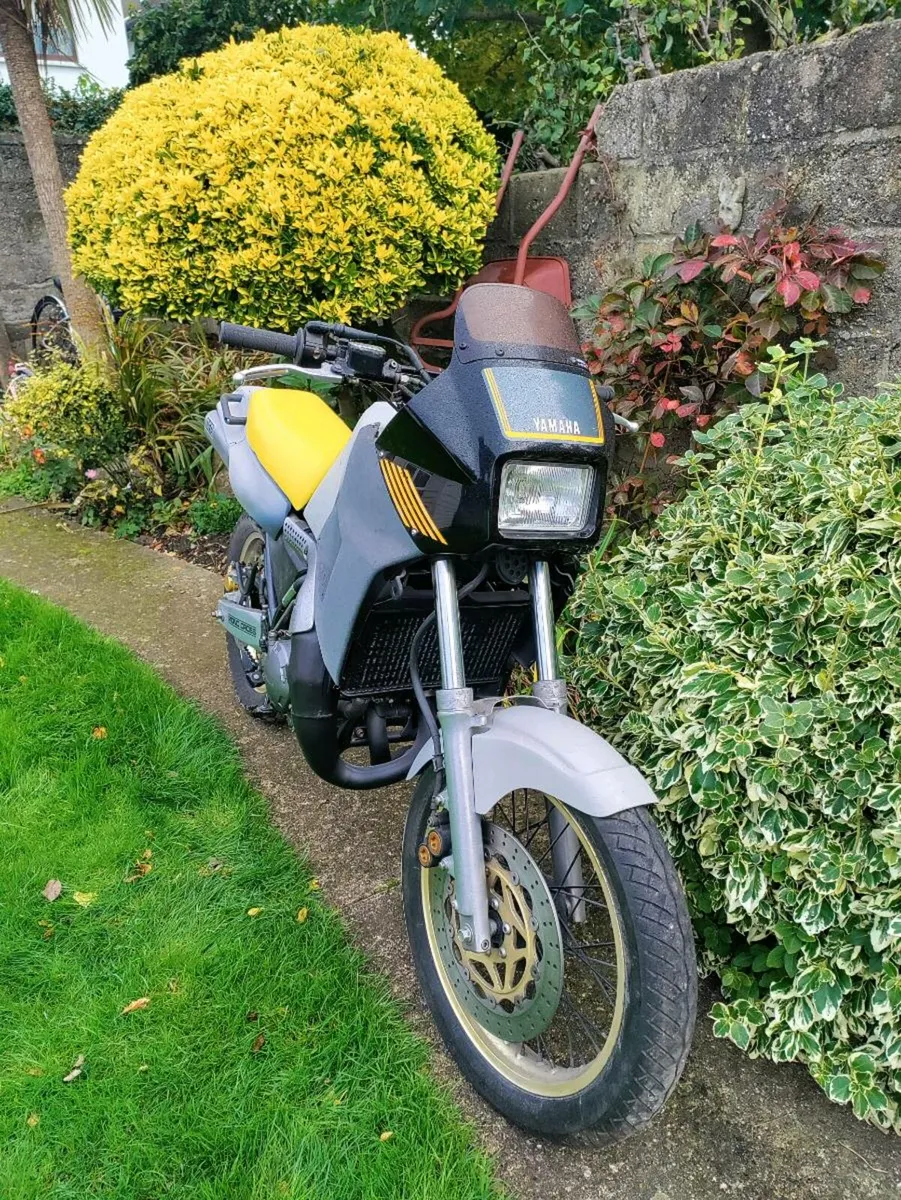Yamaha TDR 250 project - Image 1