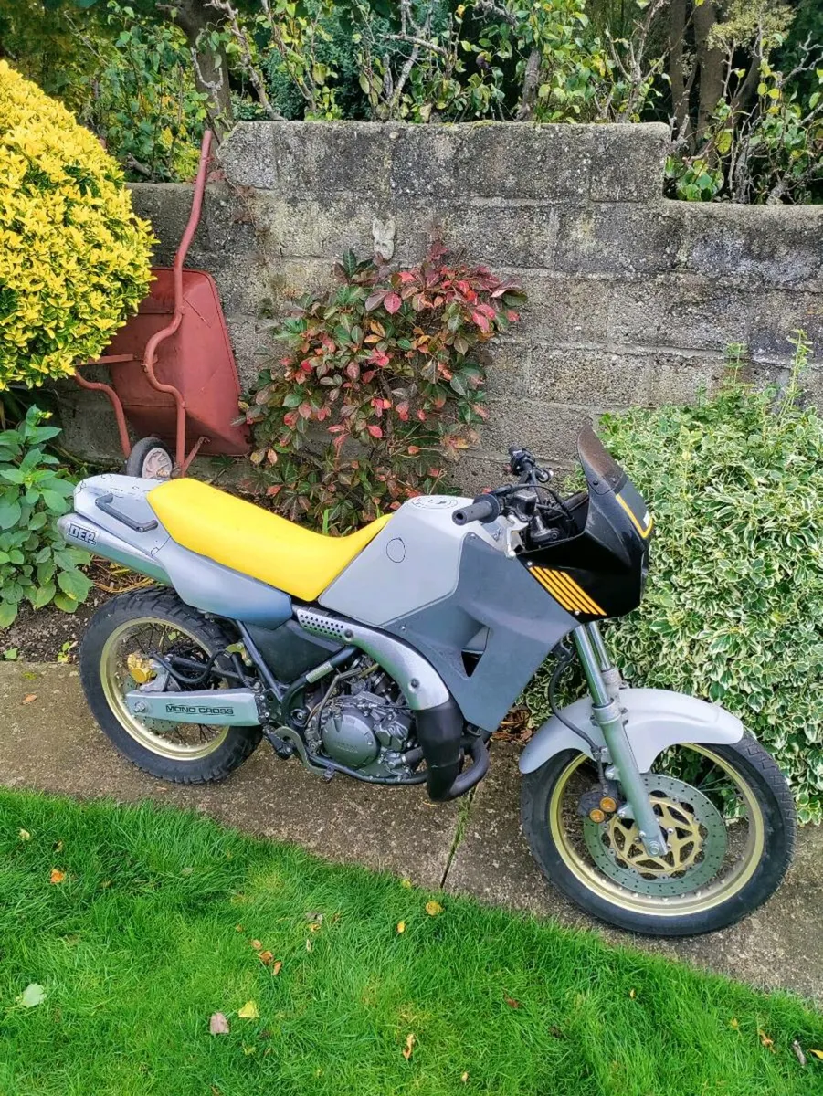 Yamaha TDR 250 project - Image 2