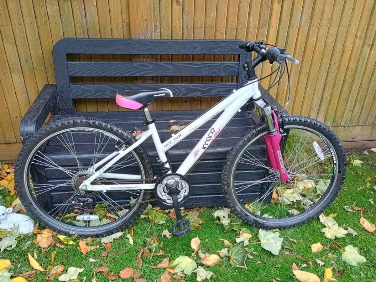 Girls Bike - Image 1