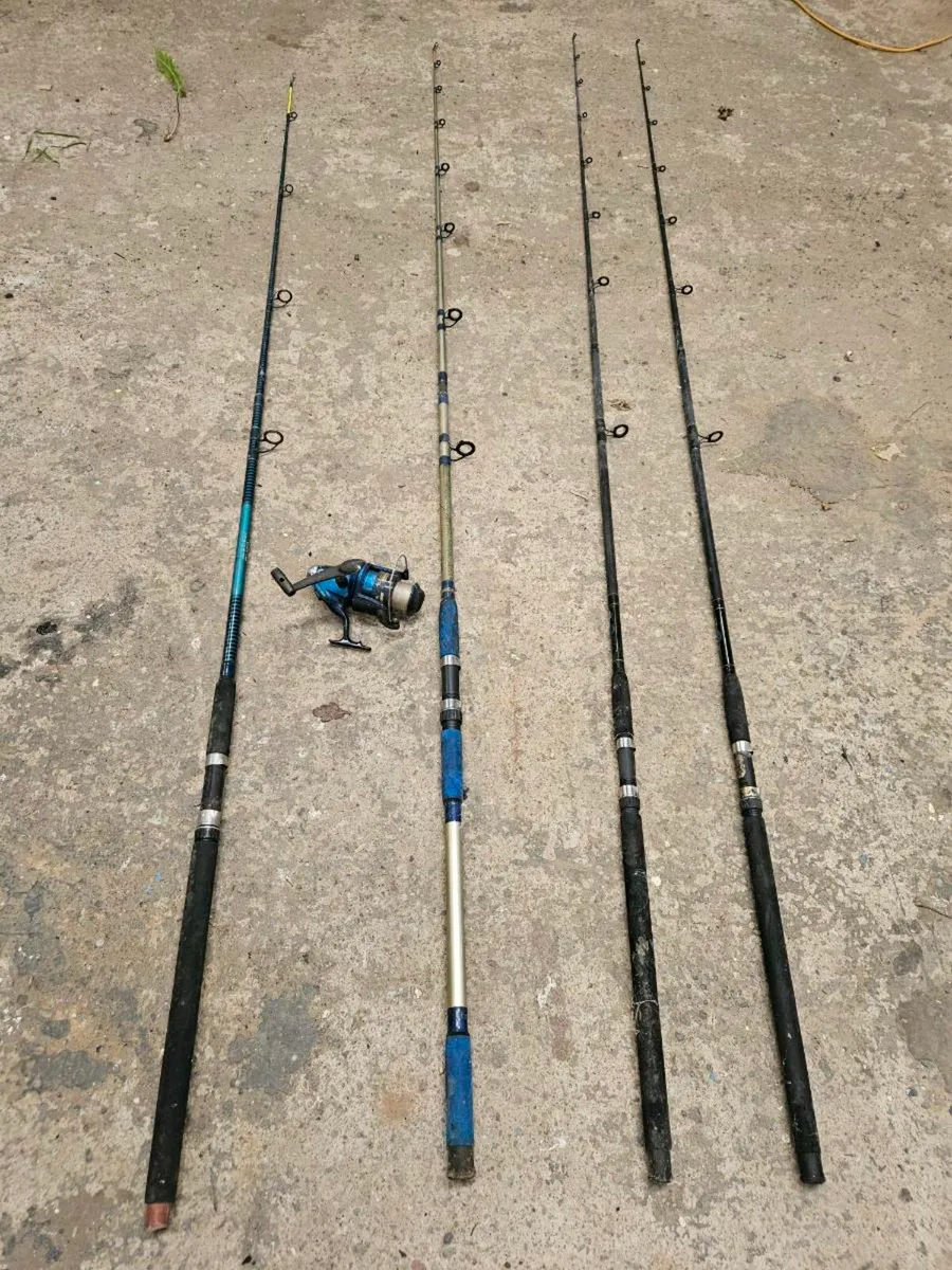 Fishing rods and reel - Image 1