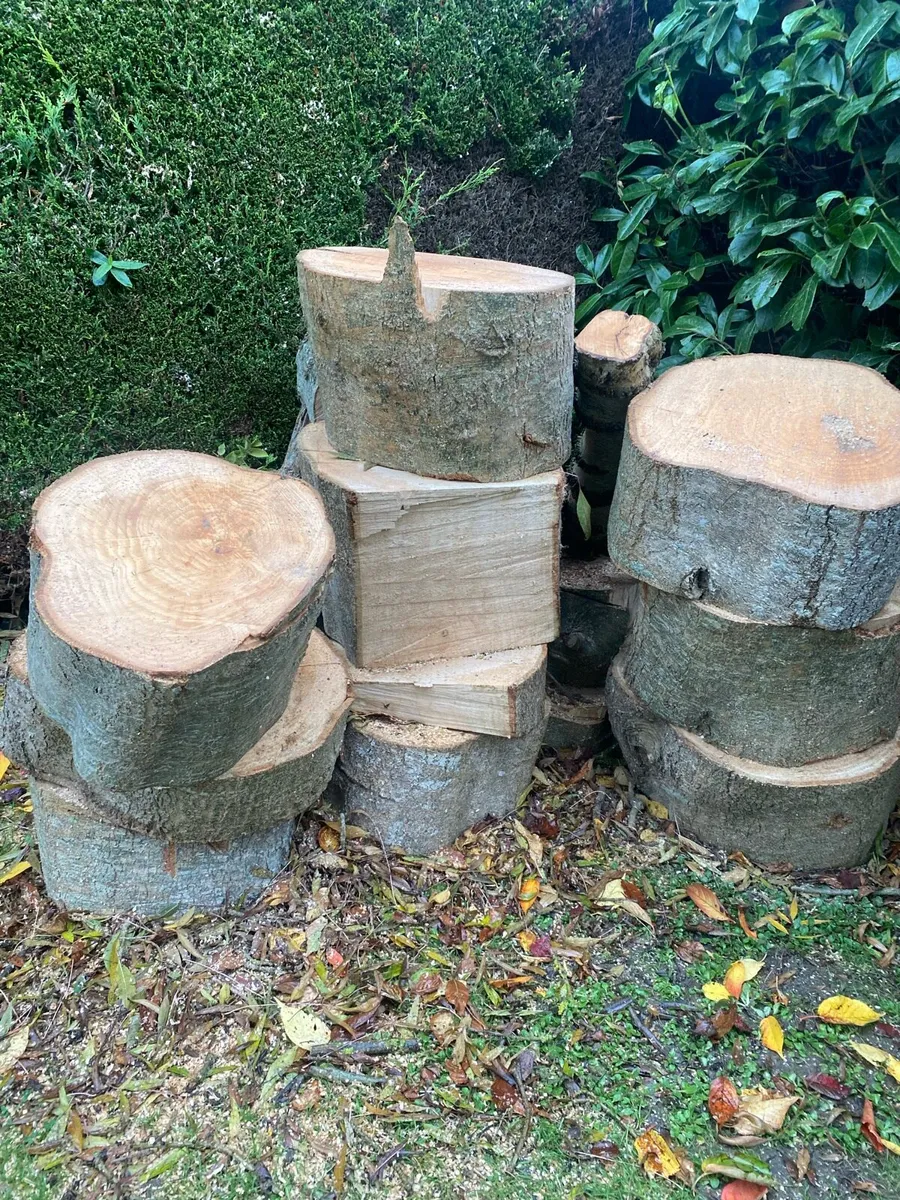 Fire wood - Image 2