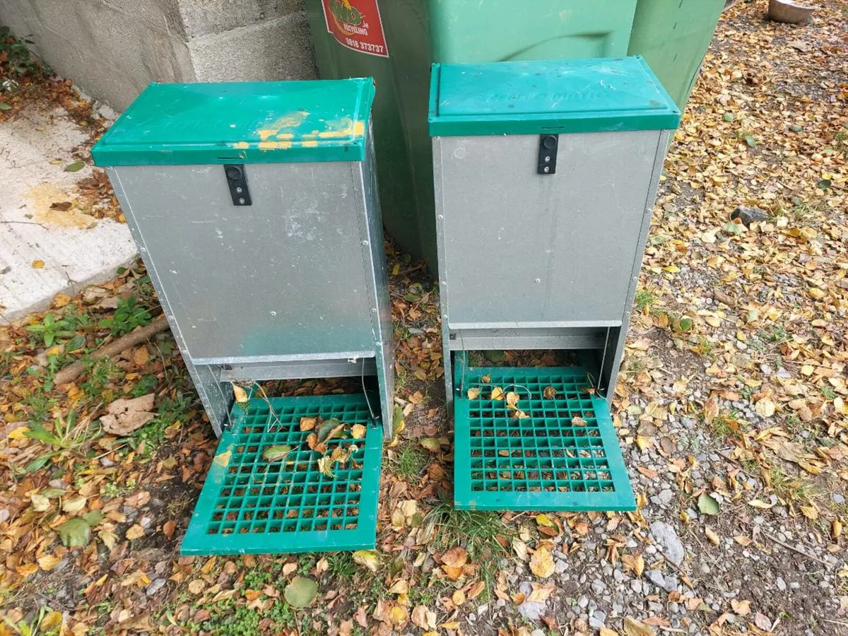 Treadle chicken feeder