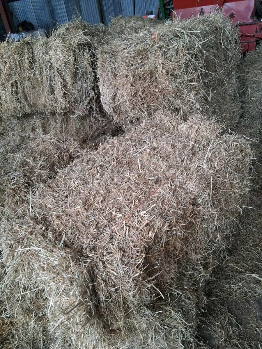 Small bales of hay and straw - Image 1