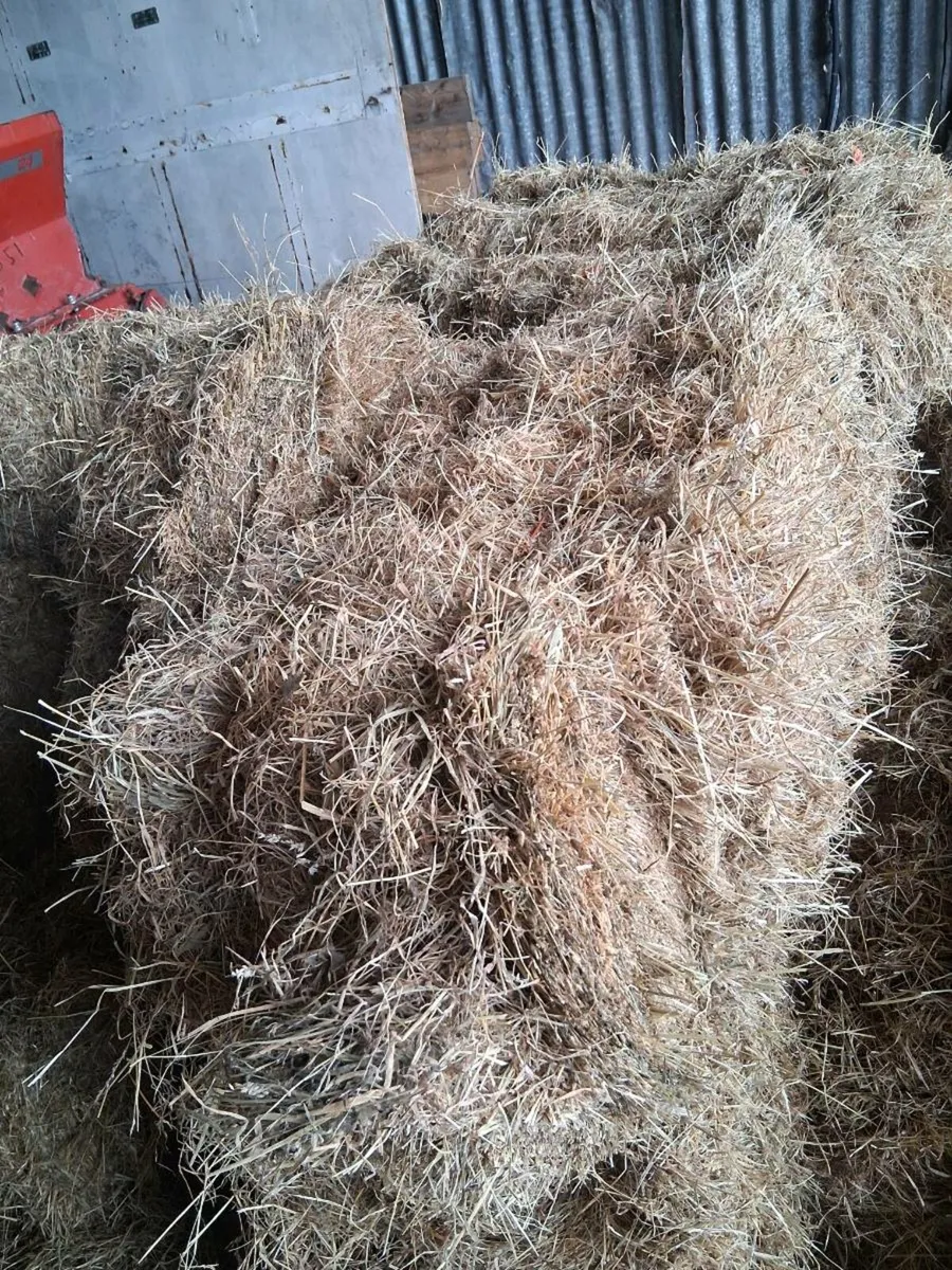 Small bales of hay and straw - Image 2