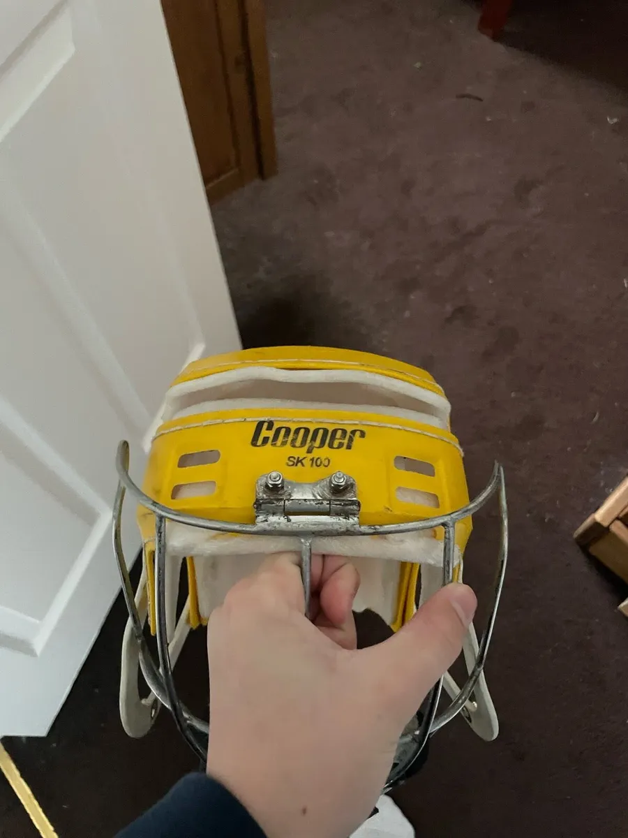 Wide hinge Kilkenny gaurd - Image 1
