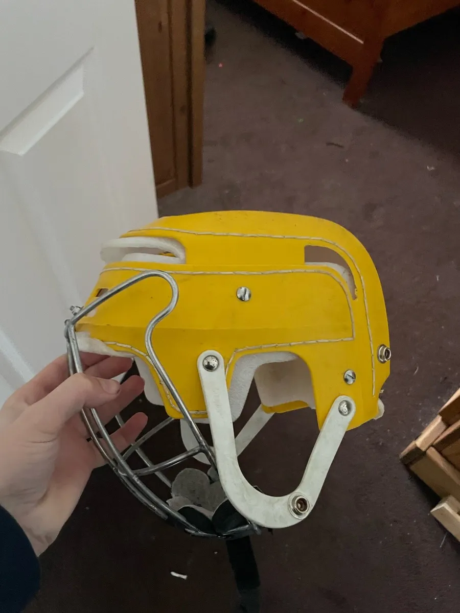 Wide hinge Kilkenny gaurd - Image 2