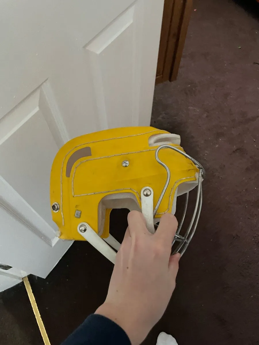 Wide hinge Kilkenny gaurd - Image 3