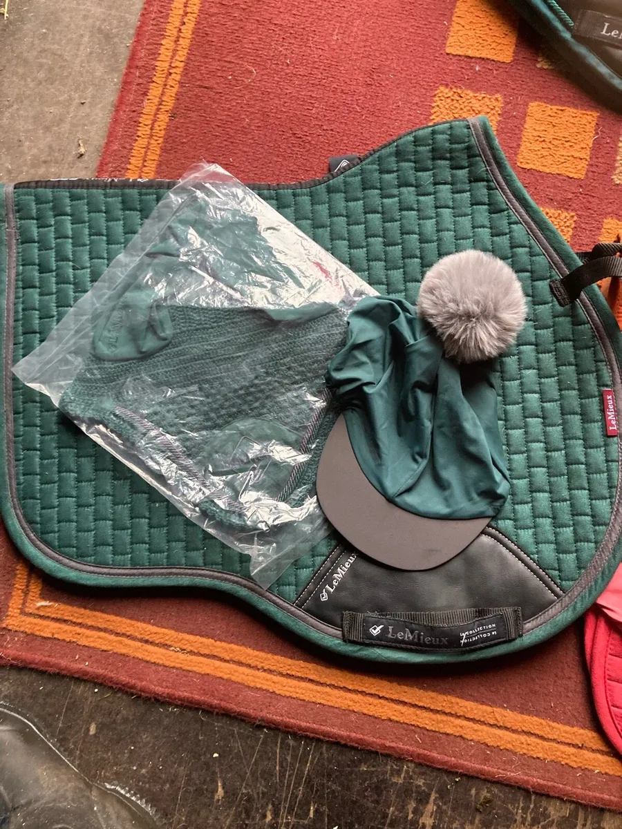 Lemieux sets - Image 1