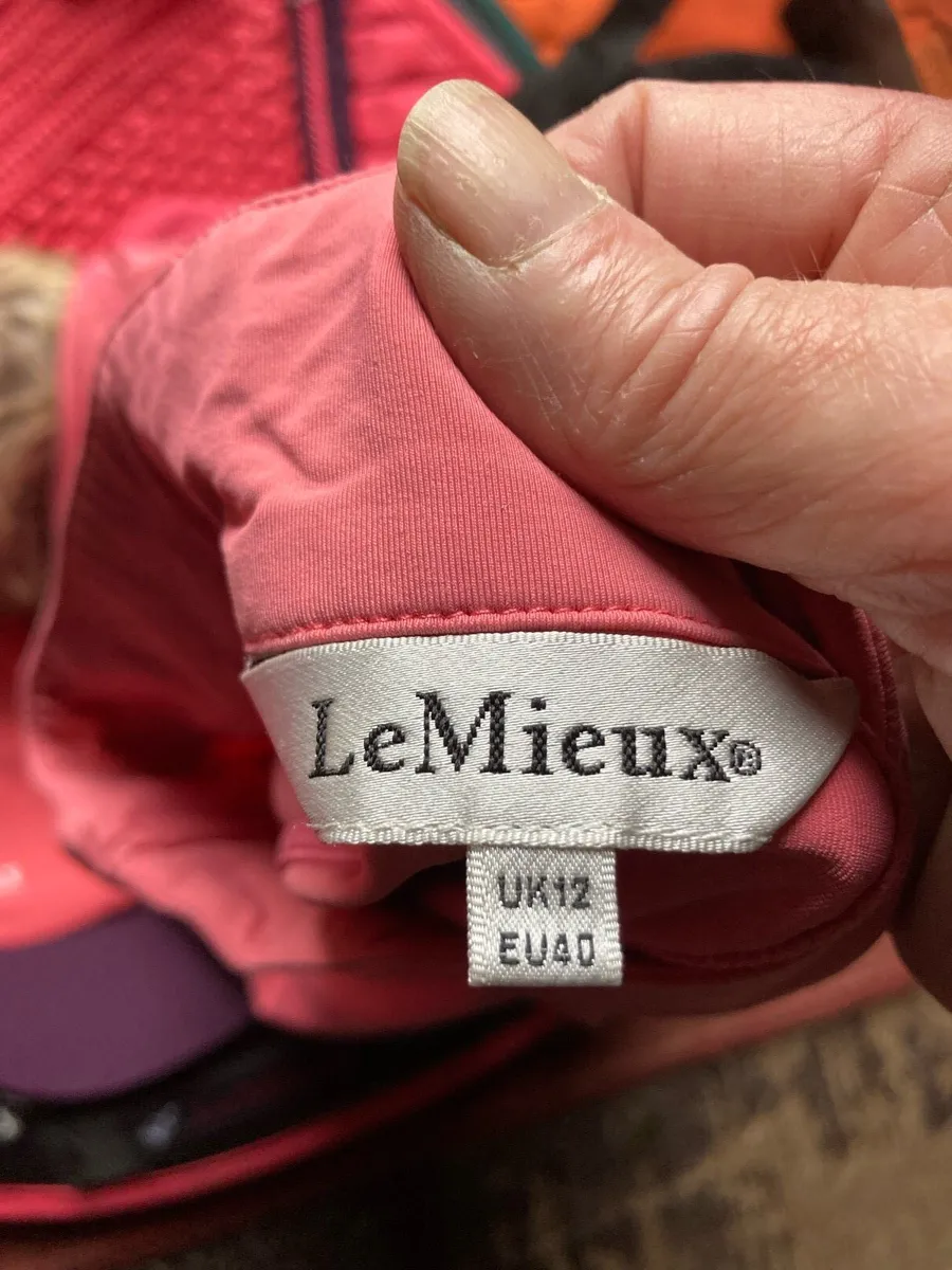 Lemieux sets - Image 4