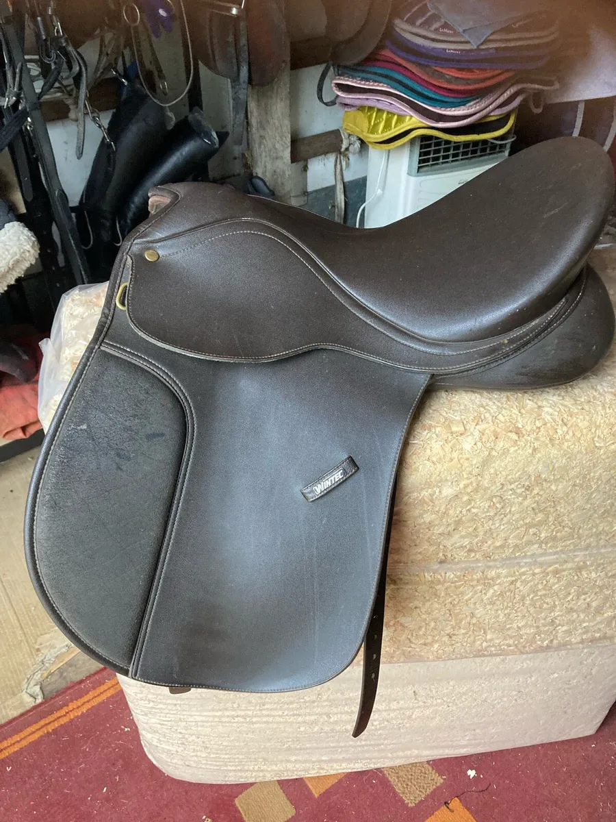 Saddle - Image 3