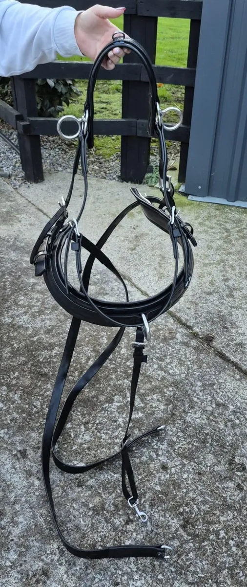 Zilco harness - Image 1