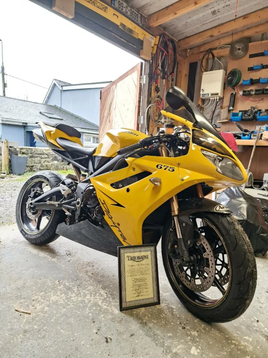 Triumph daytona  limited edition no.45/75 - Image 3