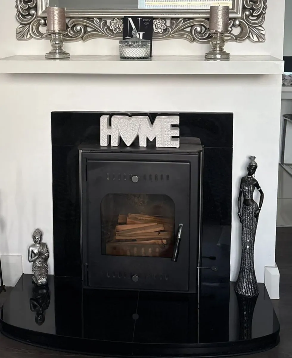 22kw buro back boiler insert stove - Image 1