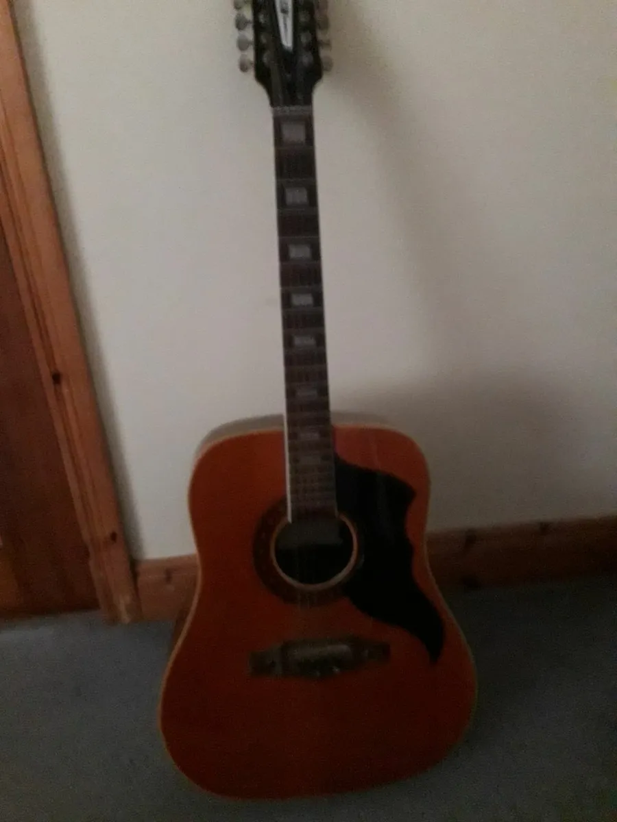 Eko 12 String Acoustic Guitar - Image 1