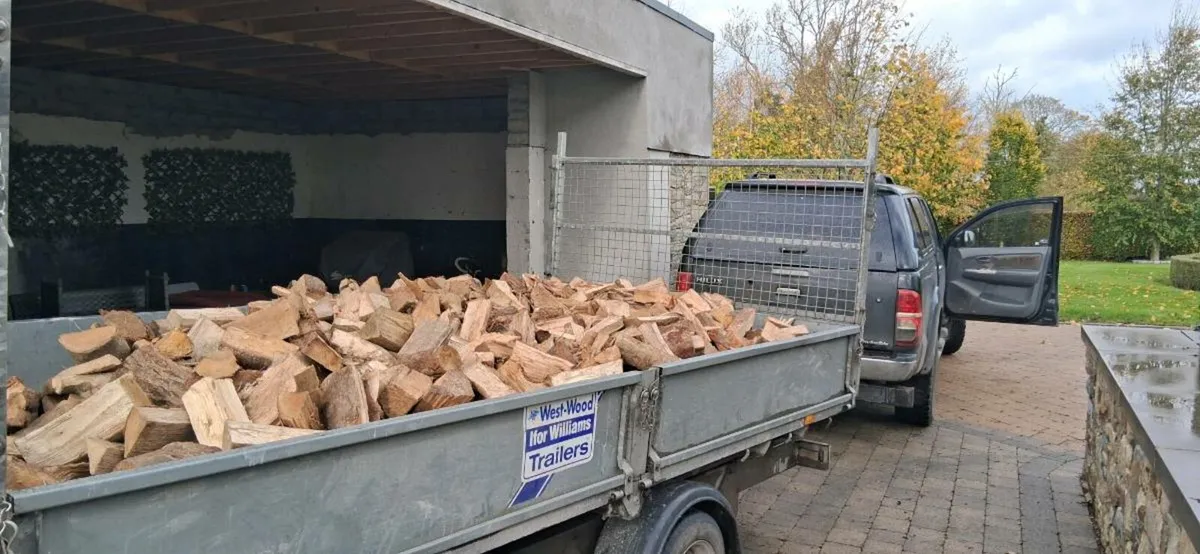 Firewood - Image 2
