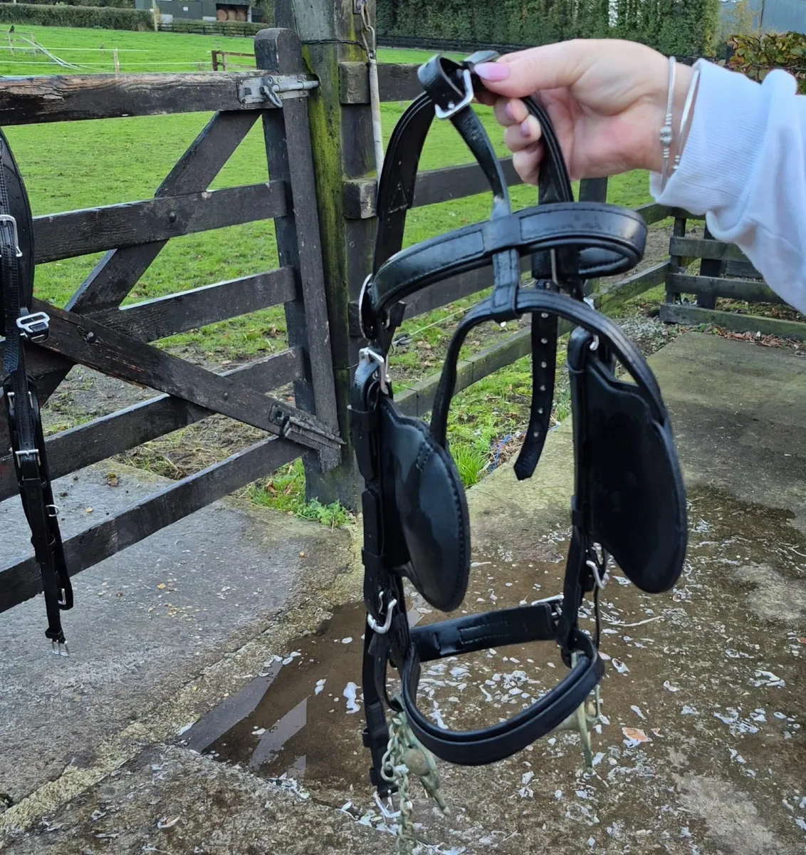 Zilco harness - Image 2