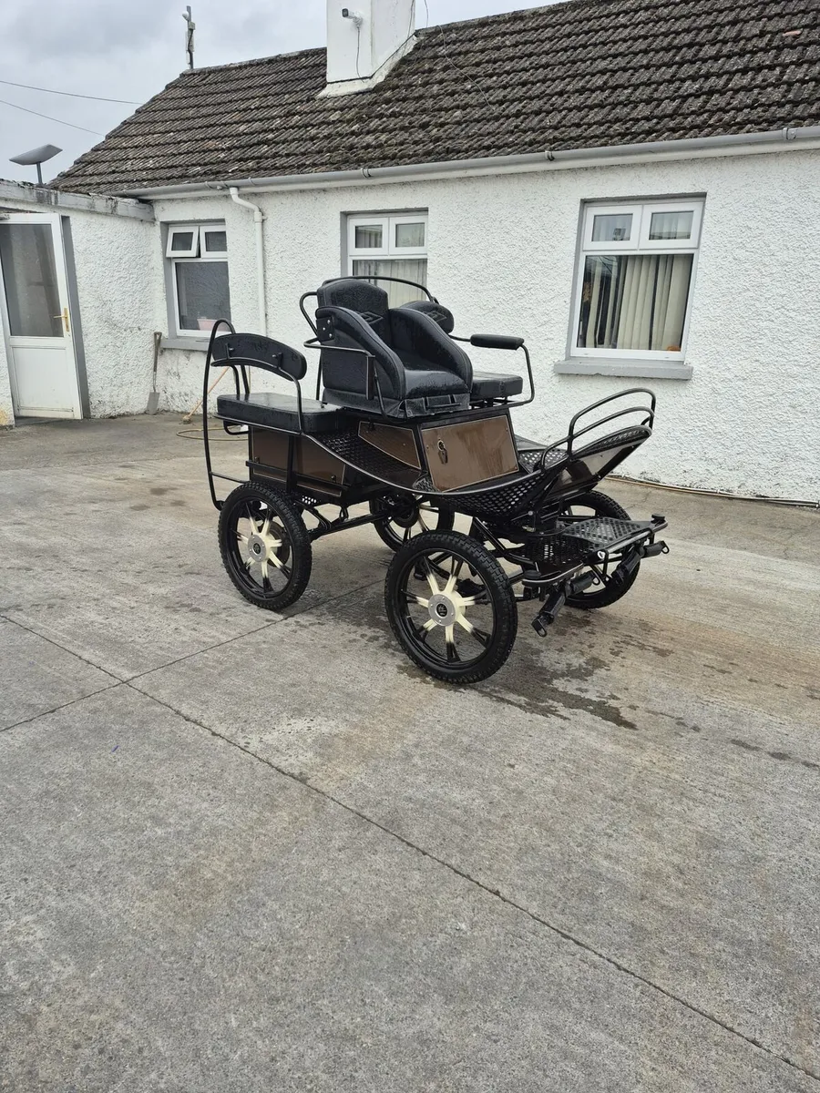 Carriage - Image 1