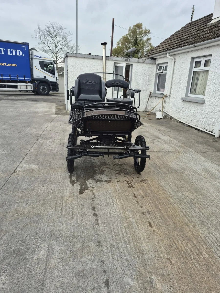 Carriage - Image 2