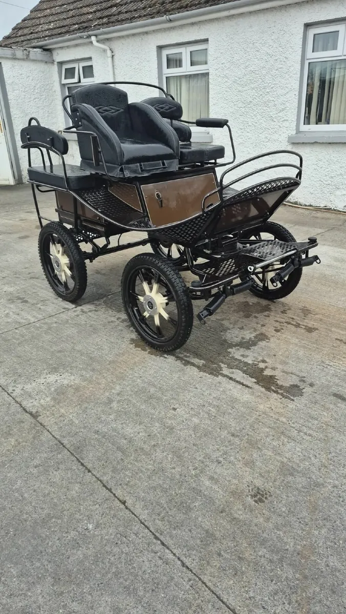 Carriage - Image 3