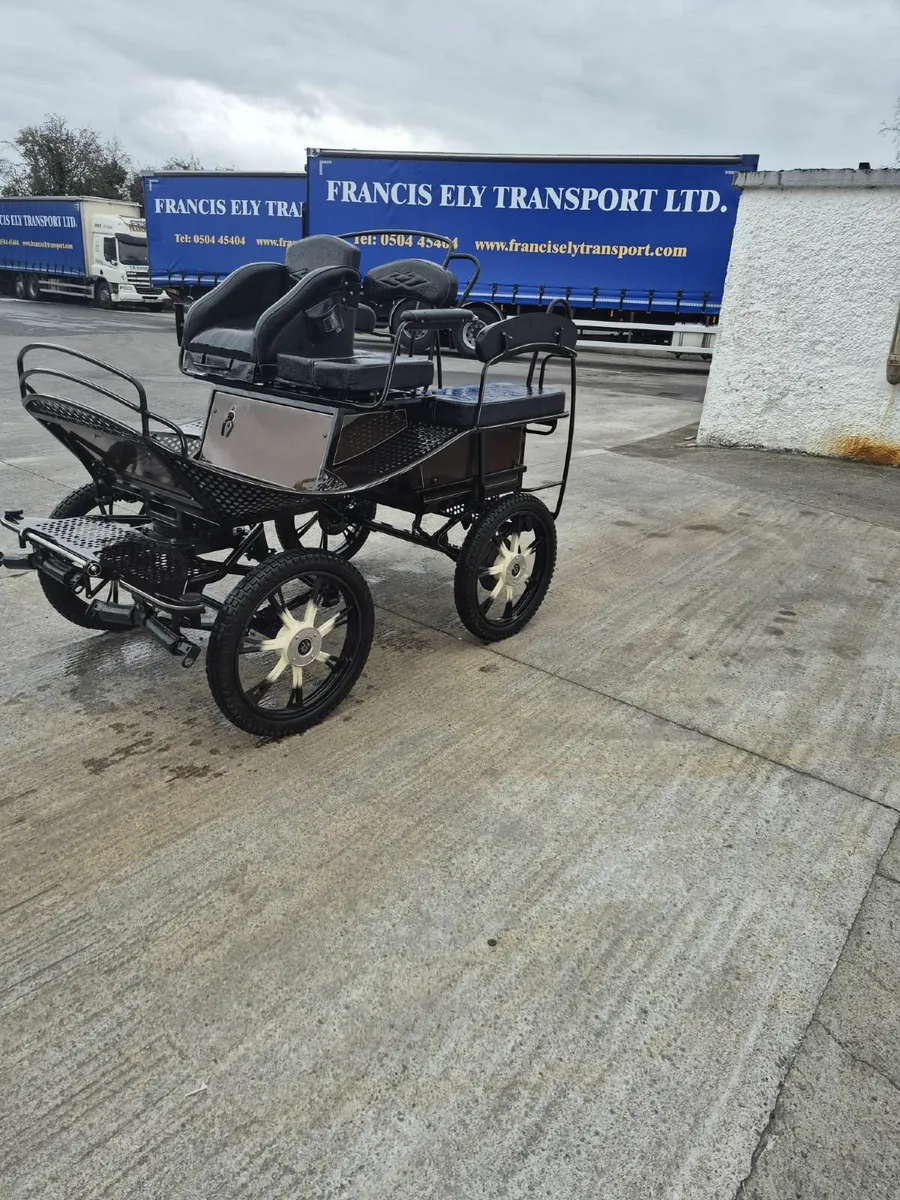Carriage - Image 4