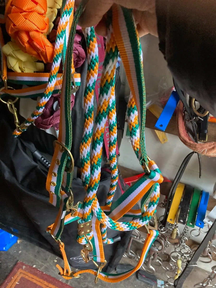 Head collars - Image 1