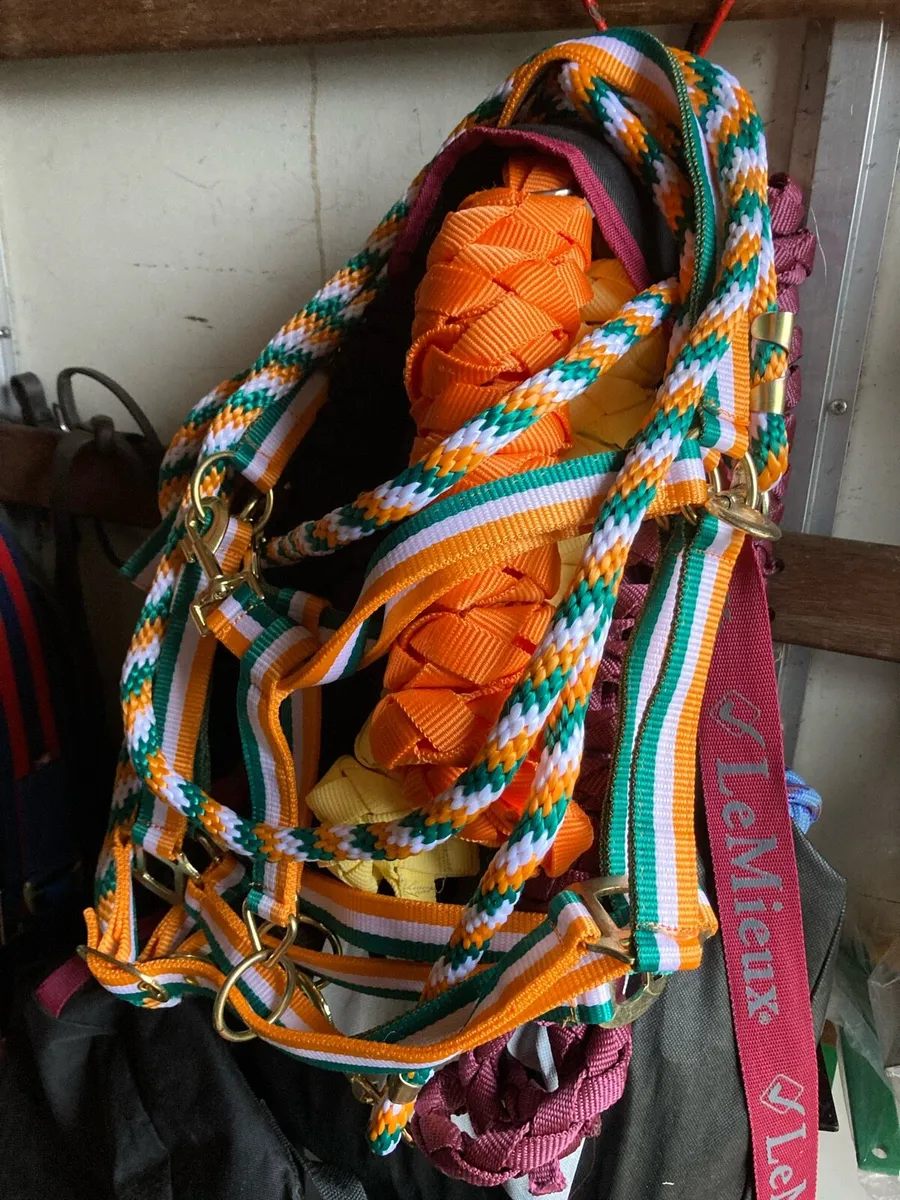 Head collars - Image 2