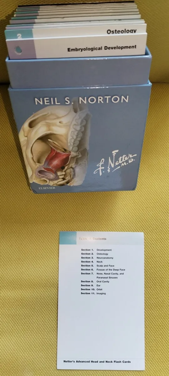Dental study cards - Image 3