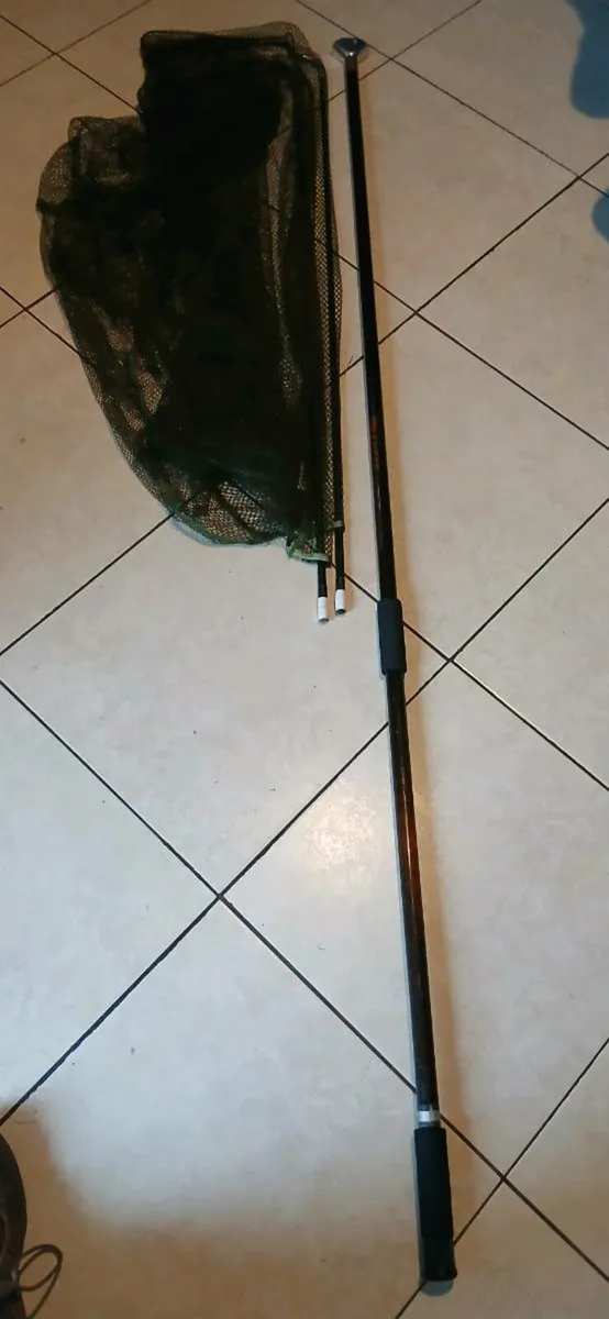Carp net and pole - Image 1