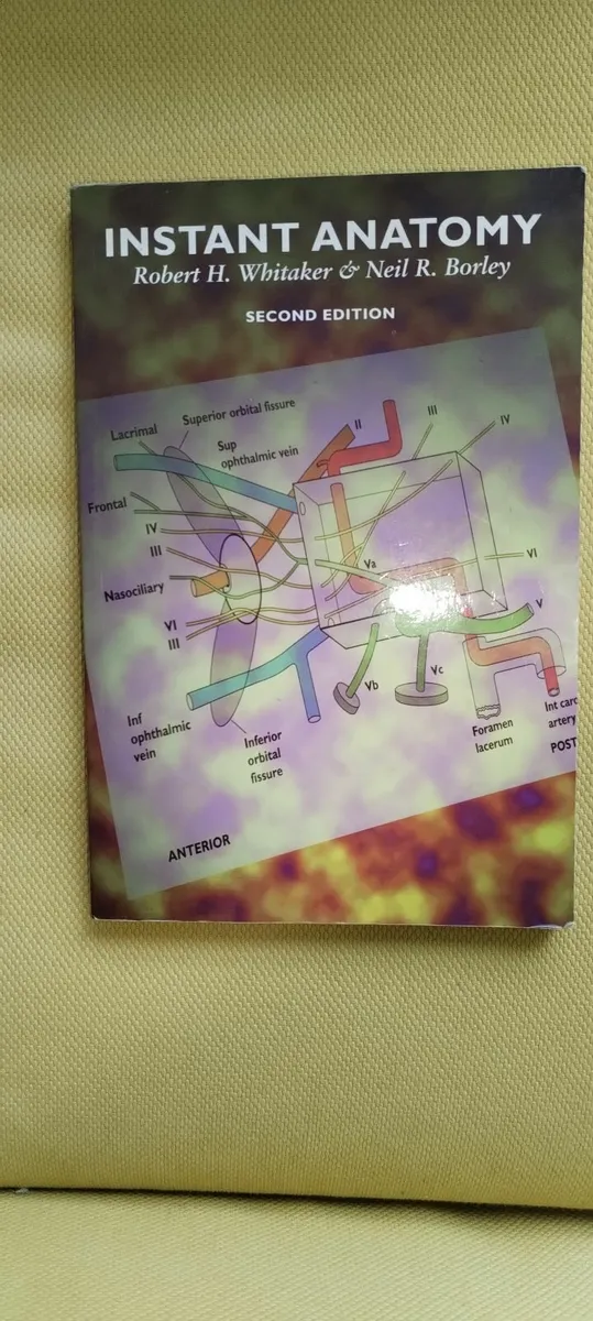 Anatomy book - Image 1