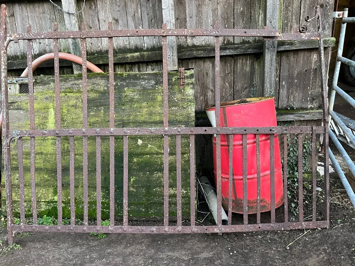 Wrought Iron Gate, Creep Feeders, Conor Shear Grab - Image 1