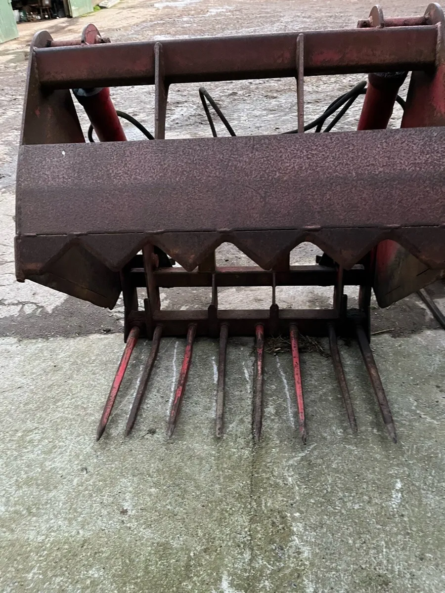 Wrought Iron Gate, Creep Feeders, Conor Shear Grab - Image 3