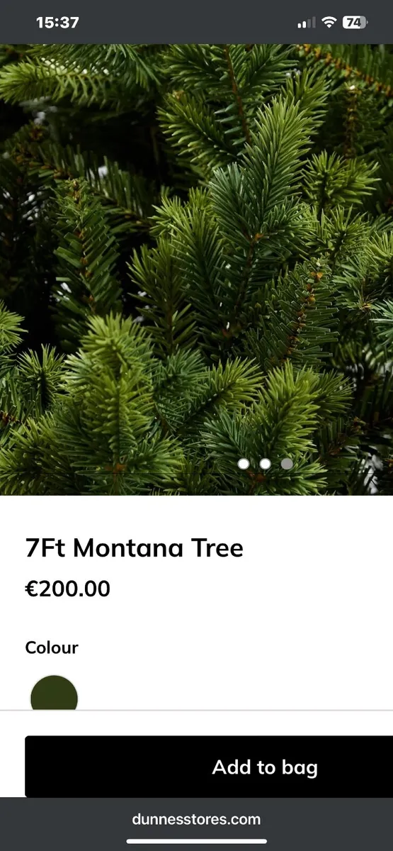 Christmas Tree - Image 3
