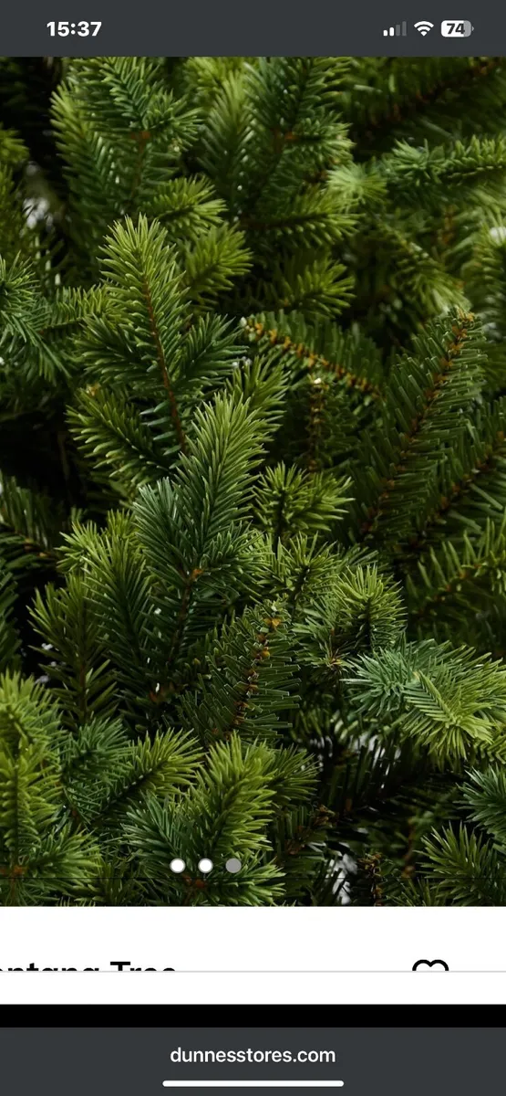 Christmas Tree - Image 4