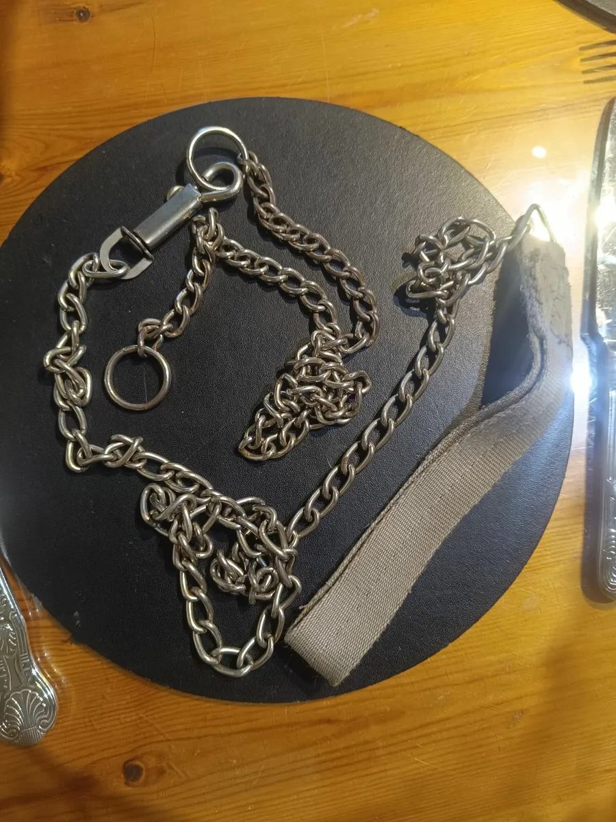 Dog lead /Choker chain - Image 1