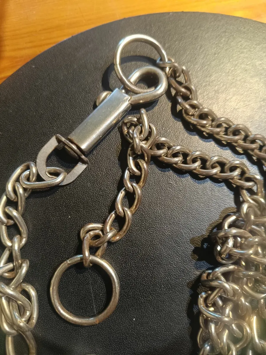 Dog lead /Choker chain - Image 2