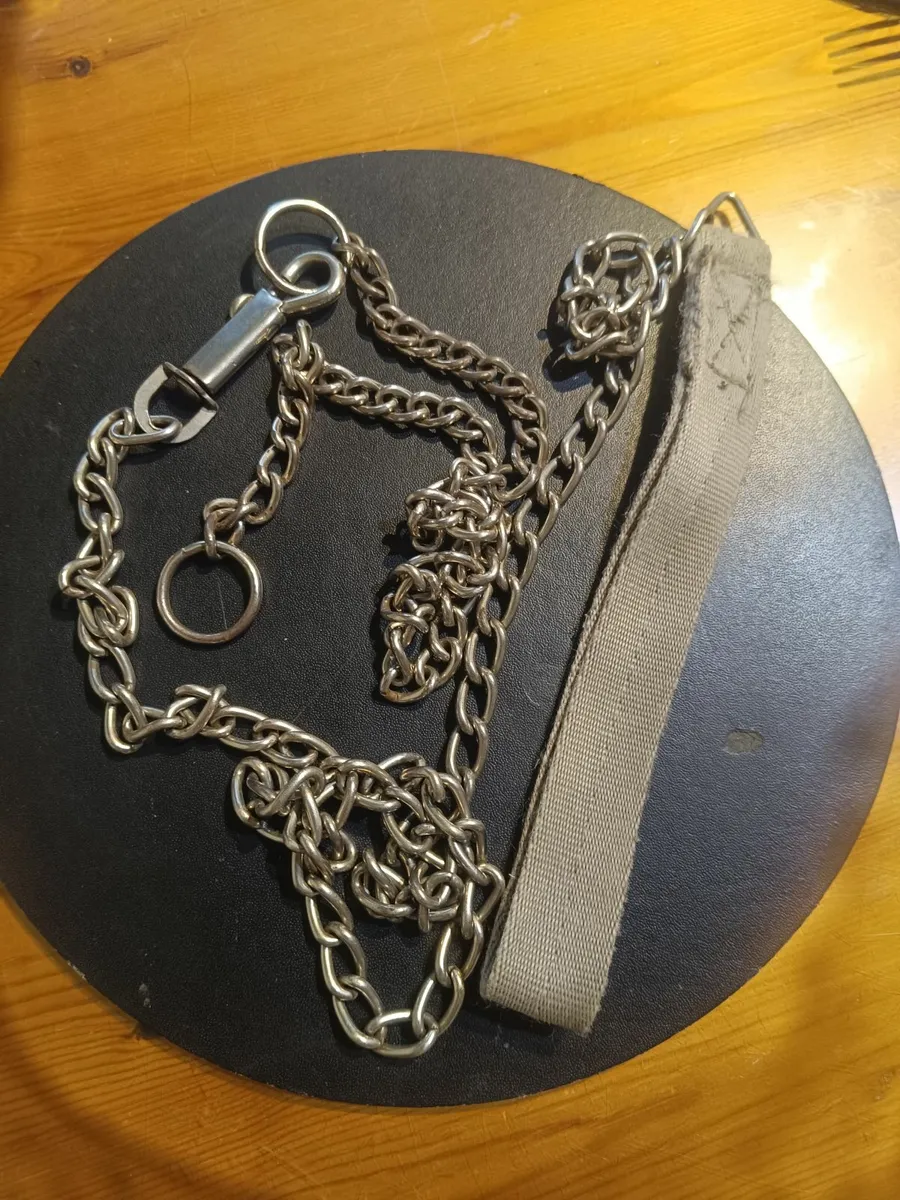 Dog lead /Choker chain - Image 3
