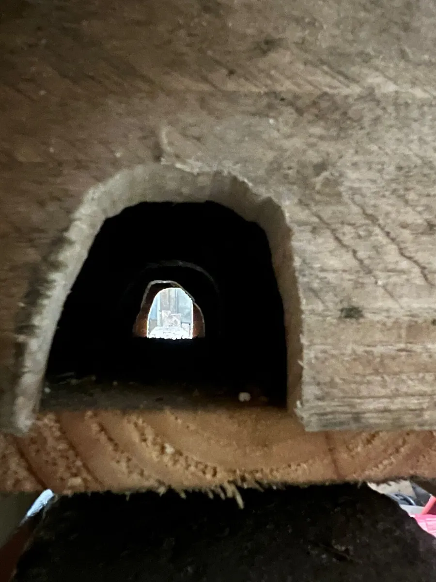 Rat Trap - Image 2