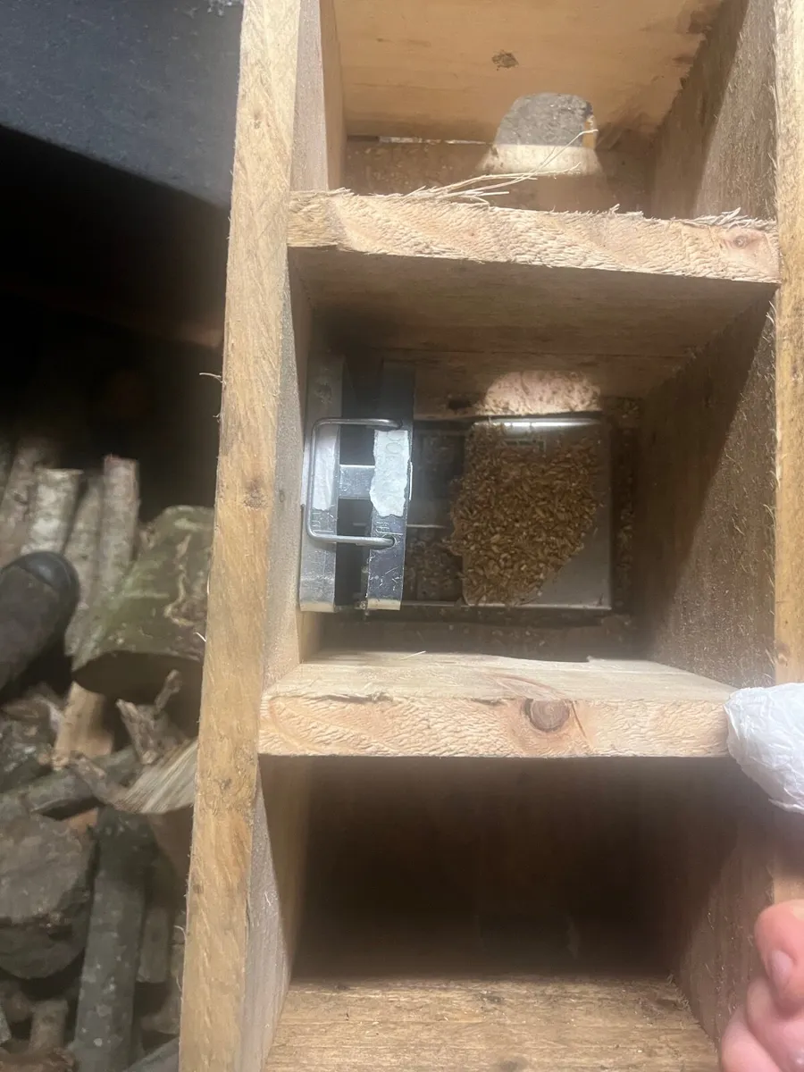 Rat Trap - Image 1