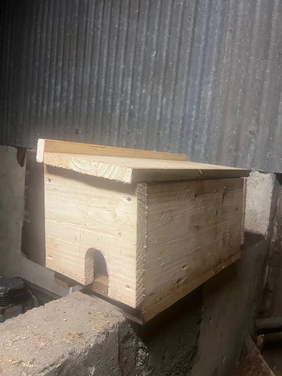 Rat Trap - Image 3