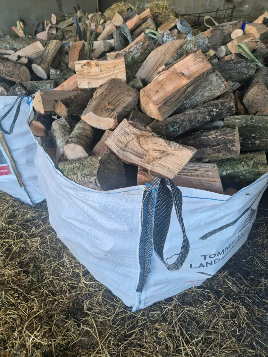 Firewood - Image 1