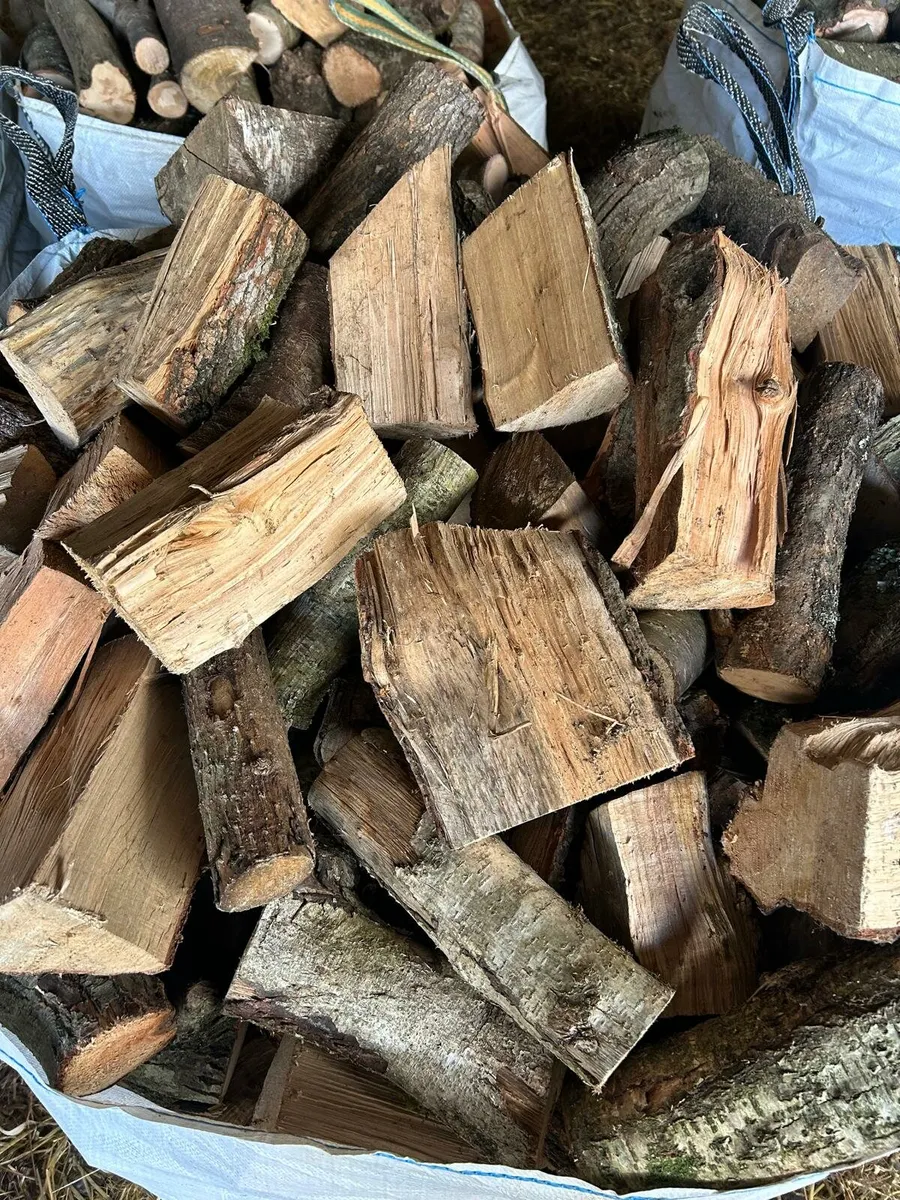 Firewood - Image 2