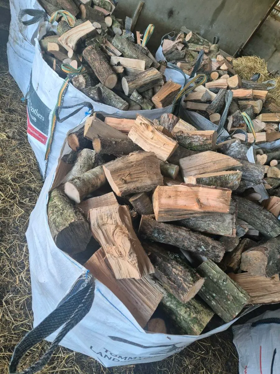 Firewood - Image 3