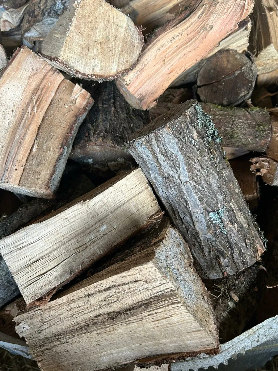 Firewood - Image 4