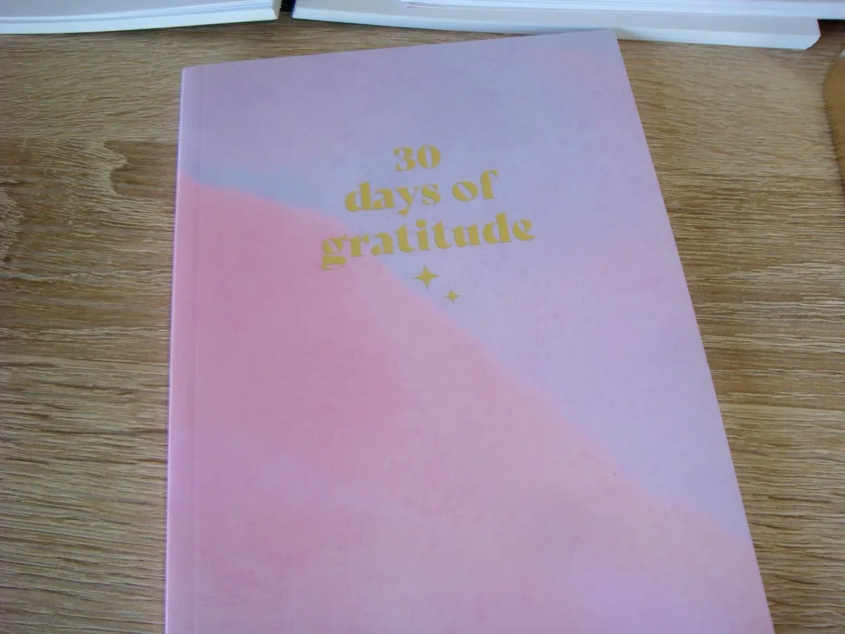 Notebooks diary 30 days of gratitude - Image 4