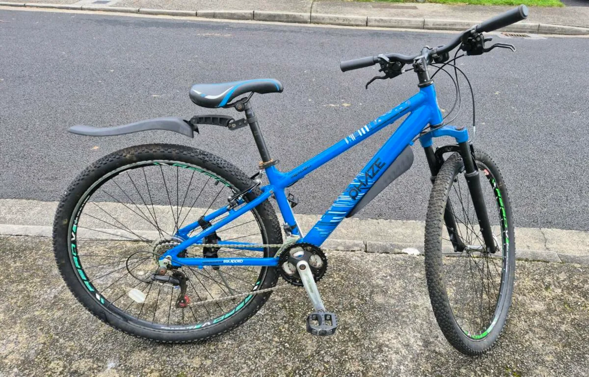 29er MOUNTAIN BIKE - Image 1