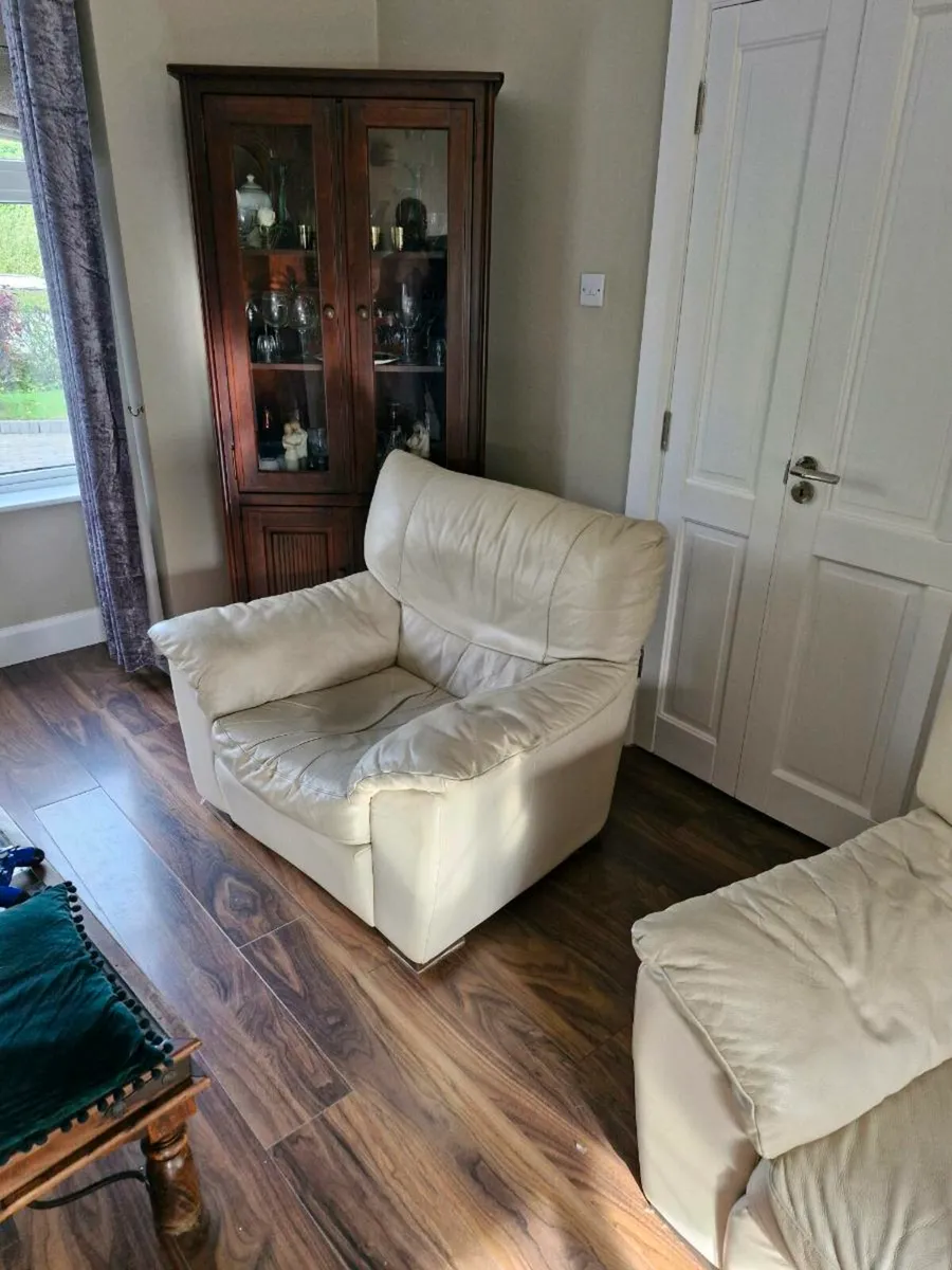 Leather chair and couch - Image 1