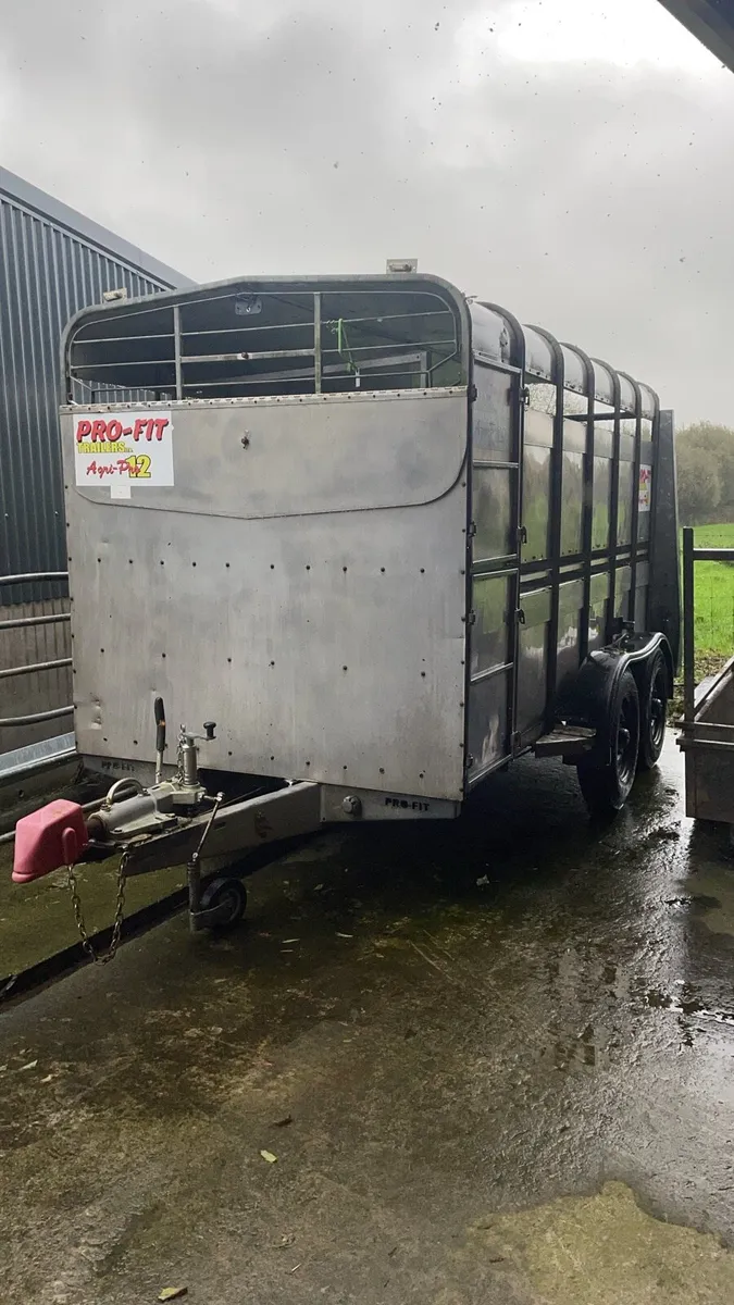 Cattle trailer - Image 3